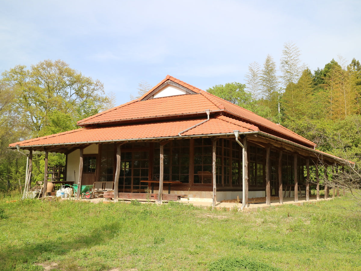 1_bd469414-4b4e-4b8f-af34-