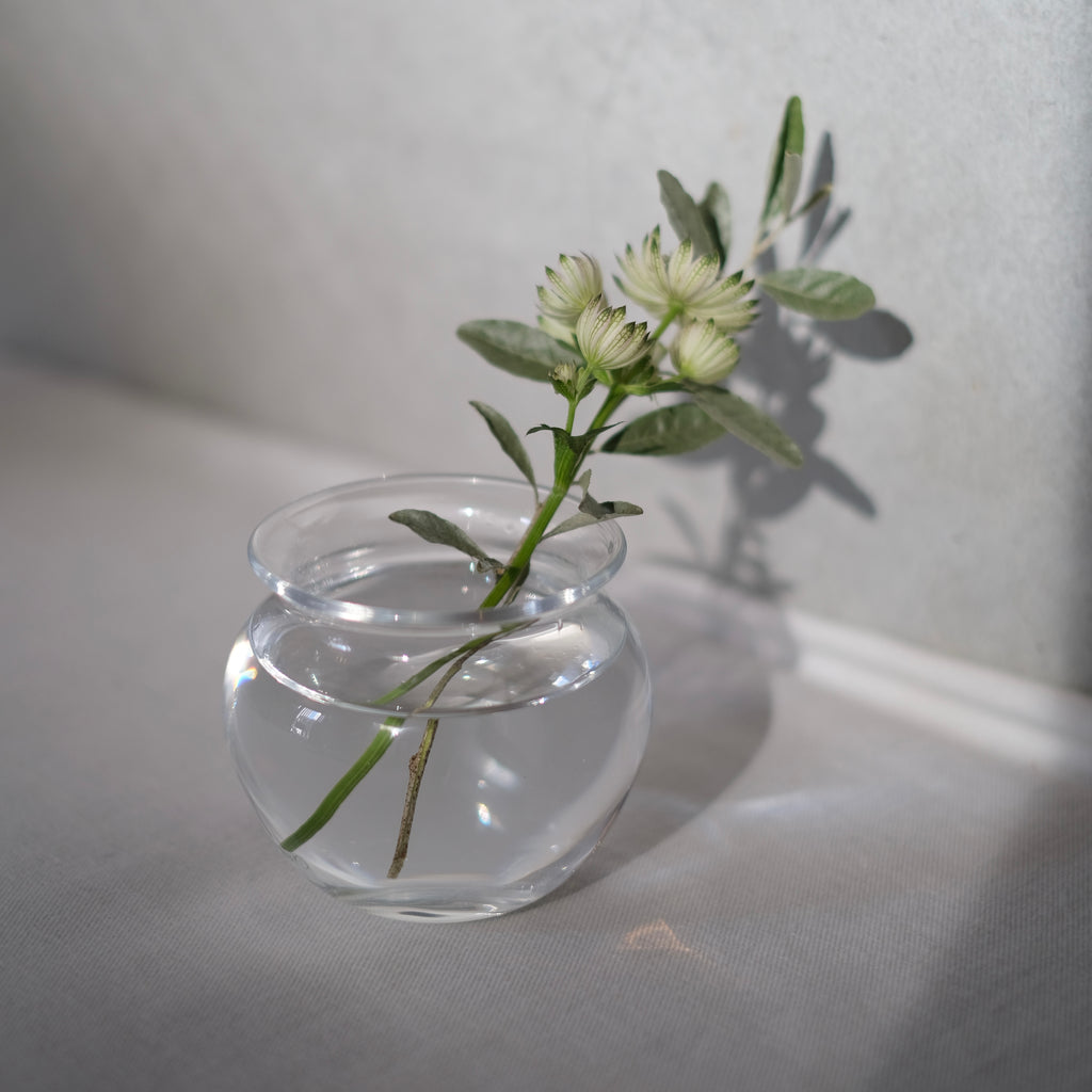 つぼ f　奥平明子