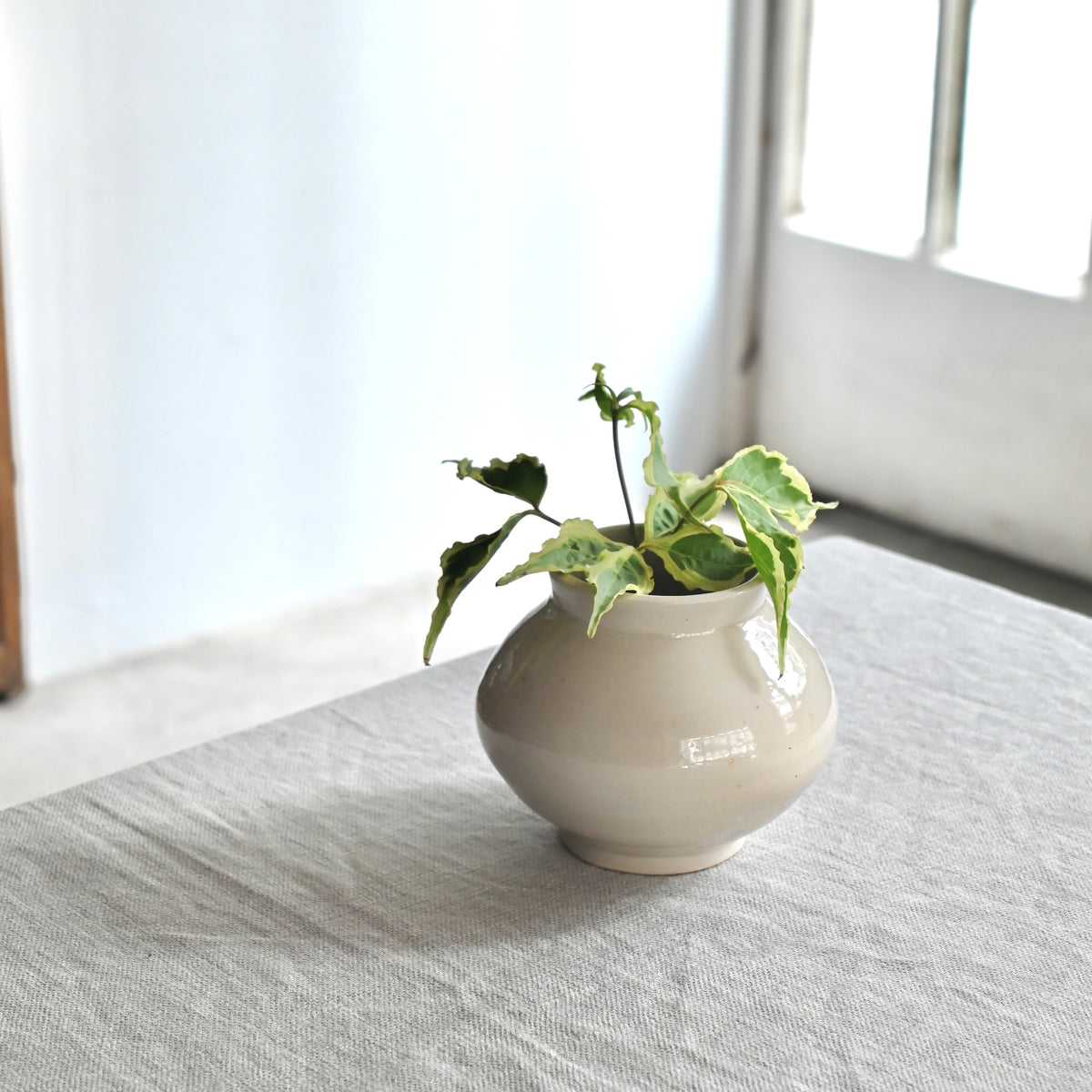花器 丸壺(958) – KOHORO