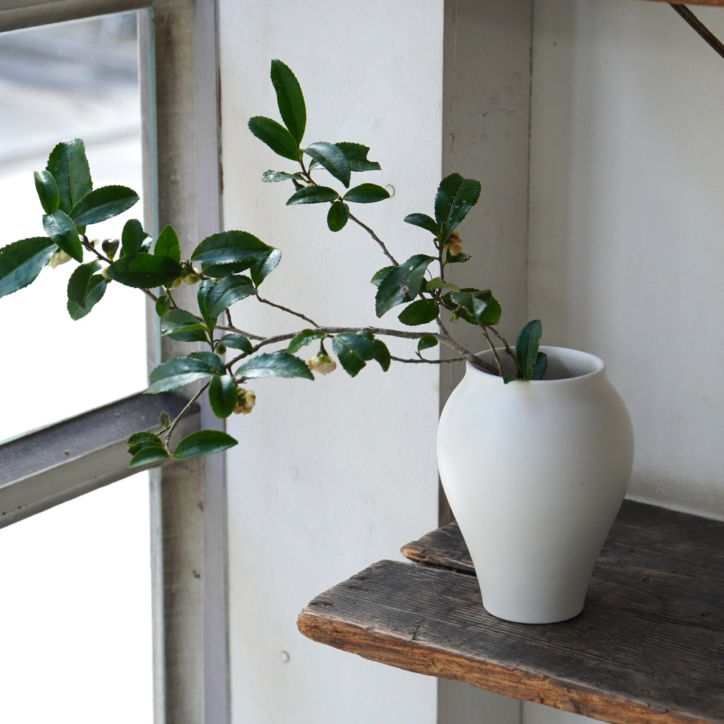 ホヤツボ　スエトシヒロ